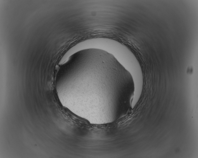 X0000088900868200707061452