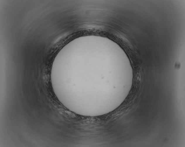 X0000088900869200707061452