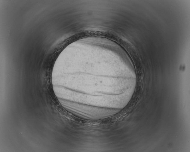 X0000088900870200707061452