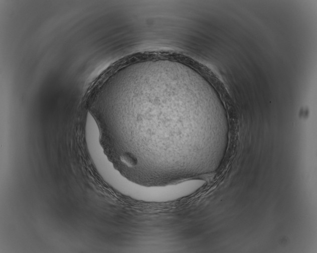 X0000088900871200707061452