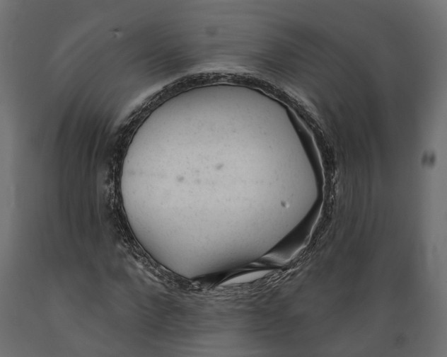 X0000088900872200707061452