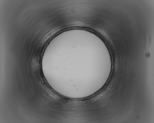 X0000088900873200707061452