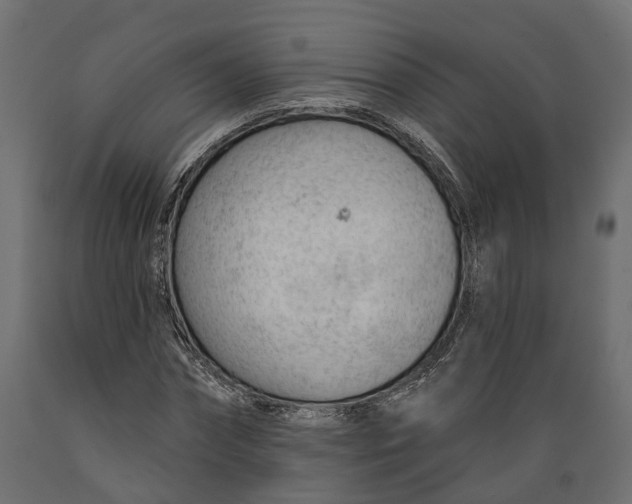 X0000088900874200707061452