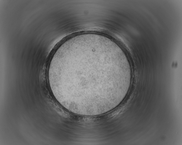 X0000088900875200707061452