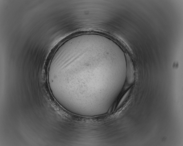 X0000088900876200707061452