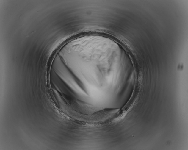 X0000088900877200707061452