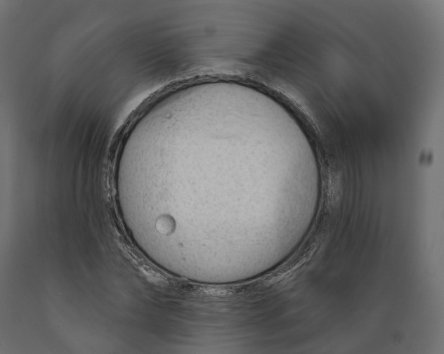 X0000088900878200707061452