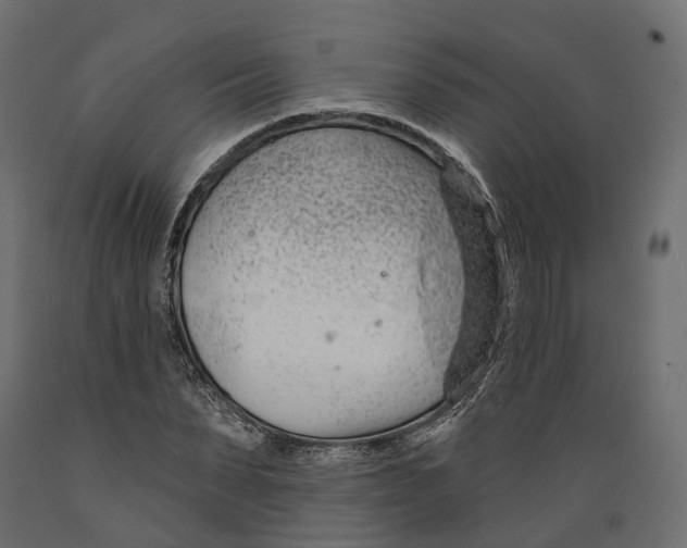 X0000088900879200707061452