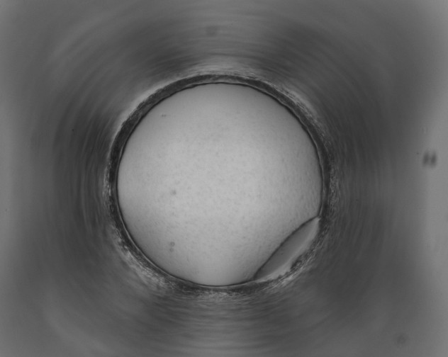 X0000088900880200707061452