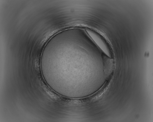 X0000088900881200707061452