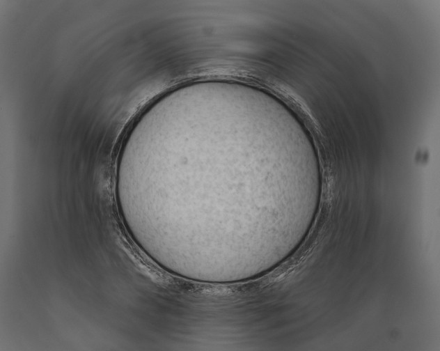 X0000088900882200707061452