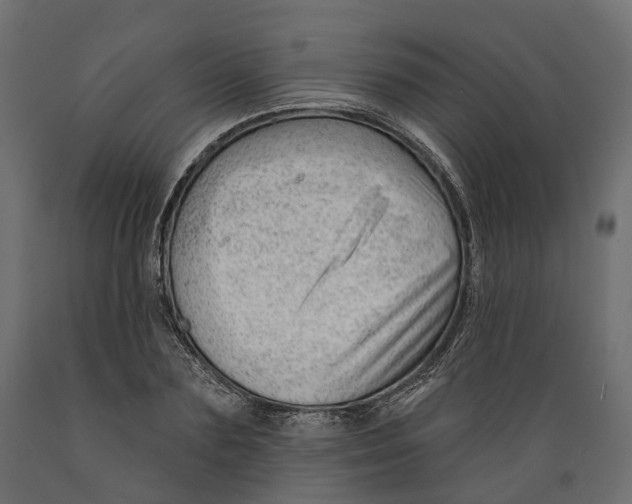 X0000088900883200707061452