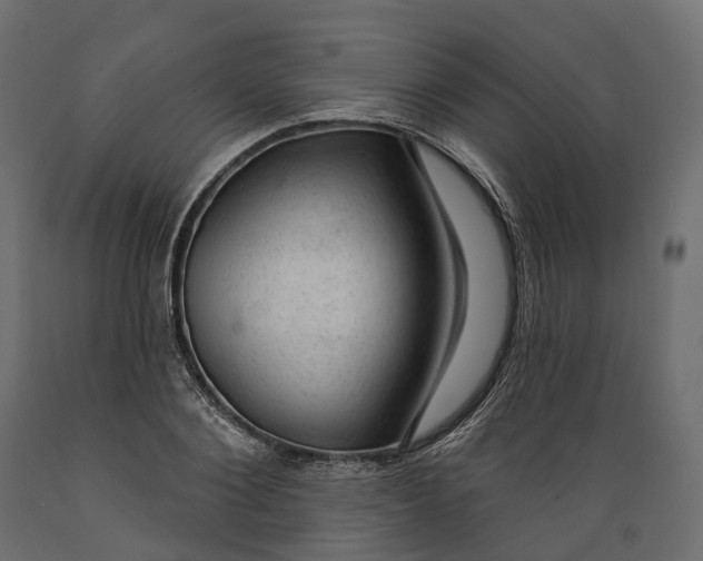 X0000088900884200707061452