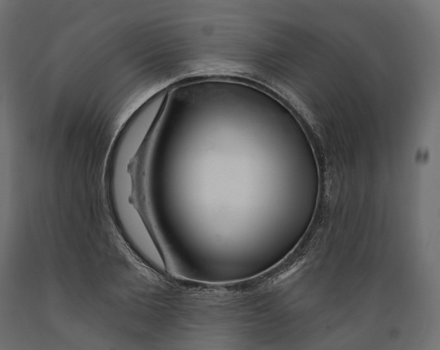 X0000088900885200707061452