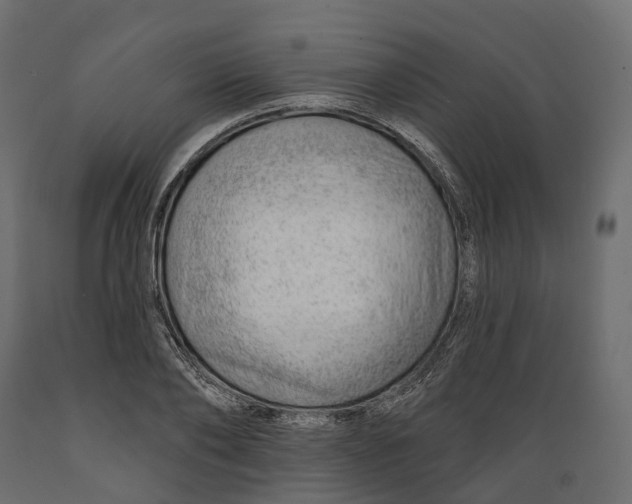 X0000088900886200707061452