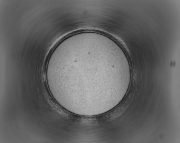 X0000088900887200707061452