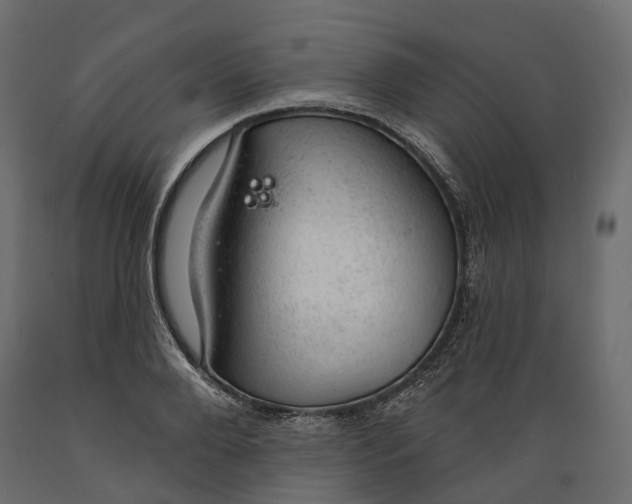 X0000088900888200707061452