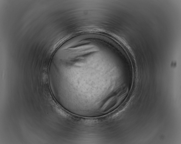 X0000088900889200707061452