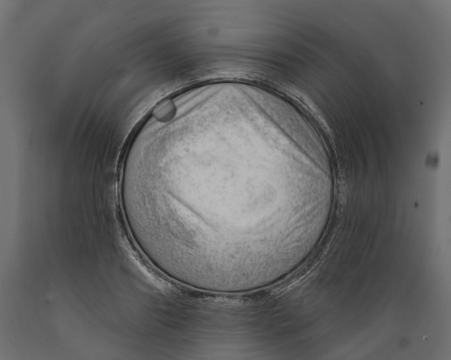 X0000088900890200707061452