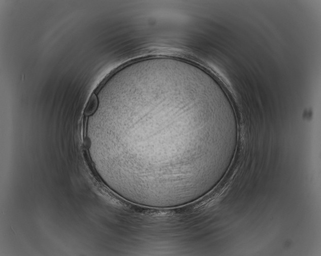 X0000088900891200707061452