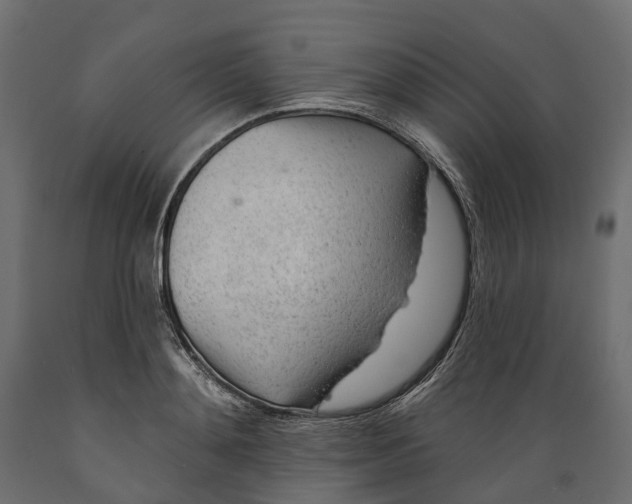 X0000088900892200707061452