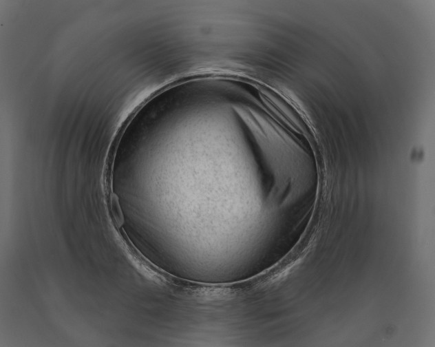 X0000088900893200707061452