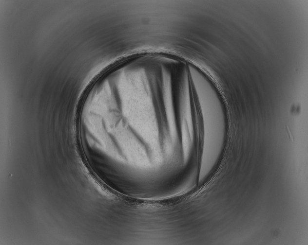 X0000088900894200707061452