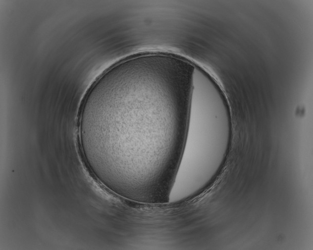 X0000088900895200707061452