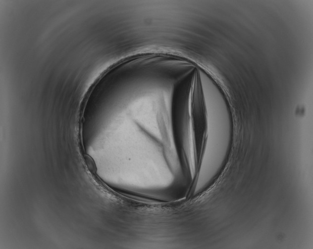 X0000088900896200707061452