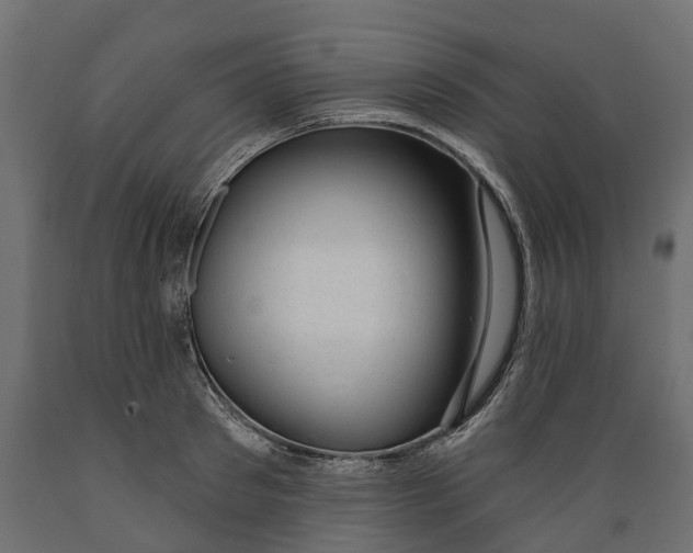 X0000088900897200707061452