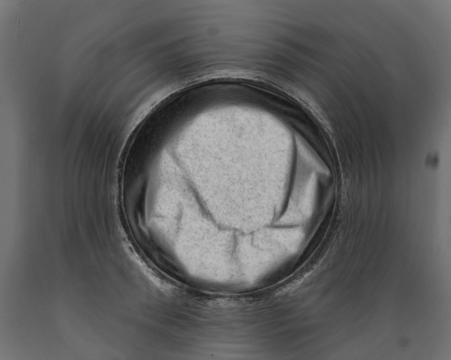 X0000088900898200707061452