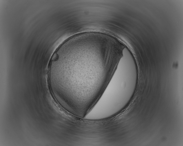 X0000088900899200707061452