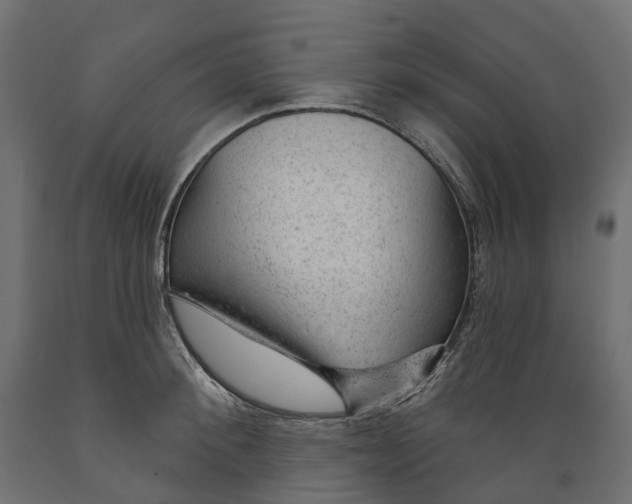 X0000088900900200707061452