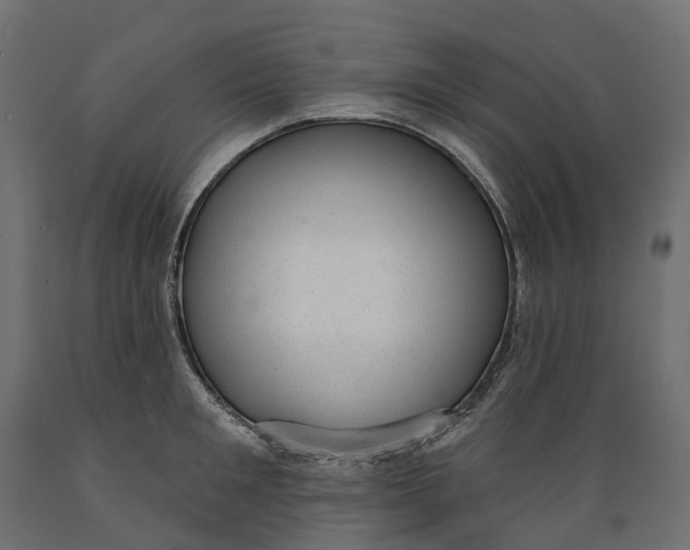 X0000088900901200707061452