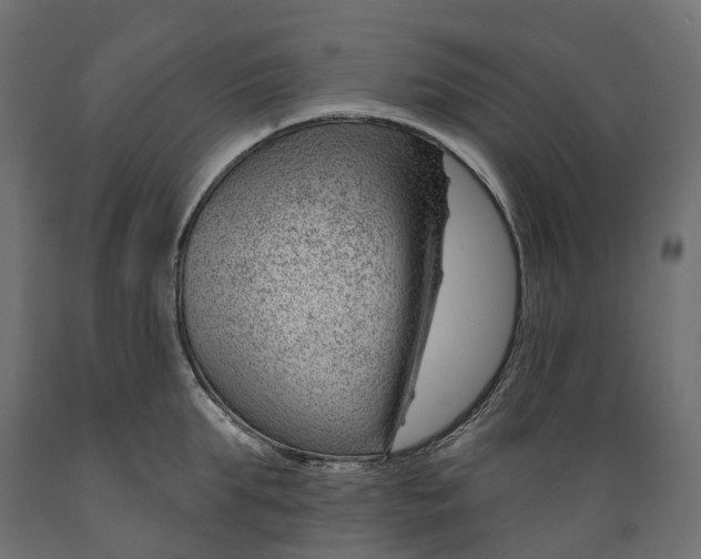 X0000088900903200707061452