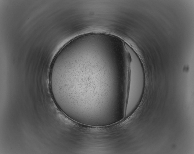 X0000088900904200707061452