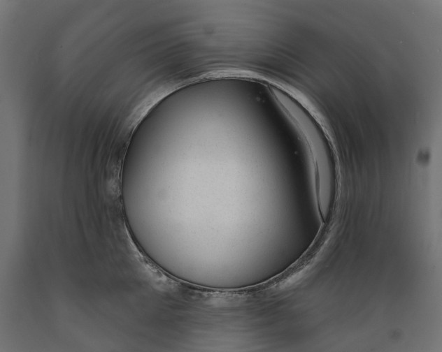 X0000088900905200707061452