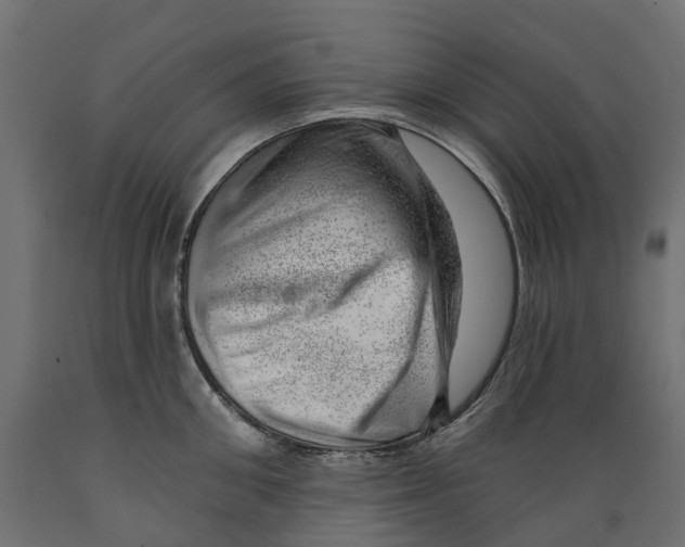 X0000088900906200707061452