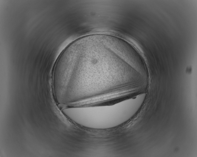 X0000088900907200707061451