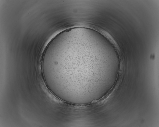 X0000088900908200707061451