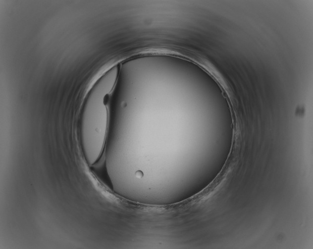 X0000088900909200707061451