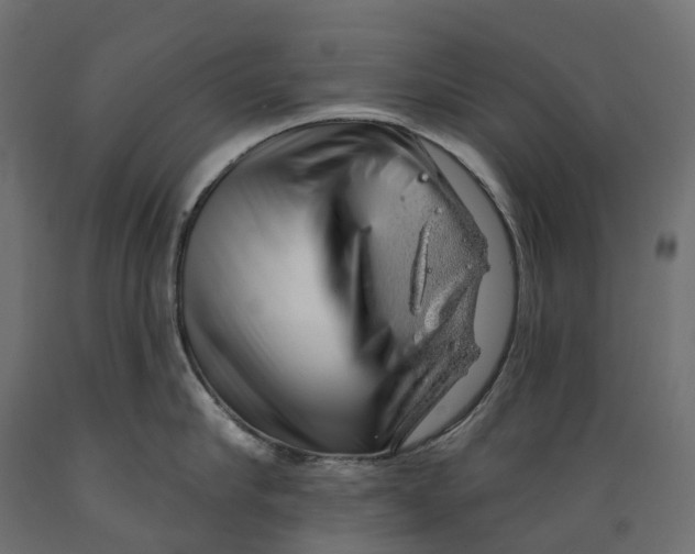 X0000088900910200707061451