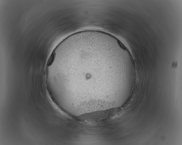 X0000088900911200707061451