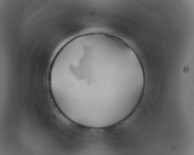 X0000088900912200707061451