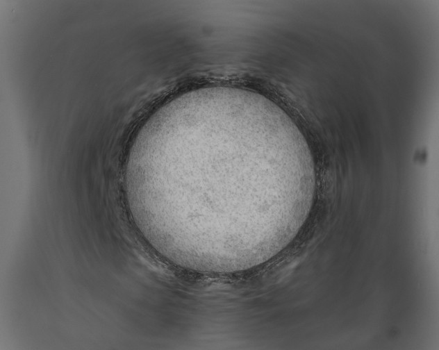 X0000088900913200707061451