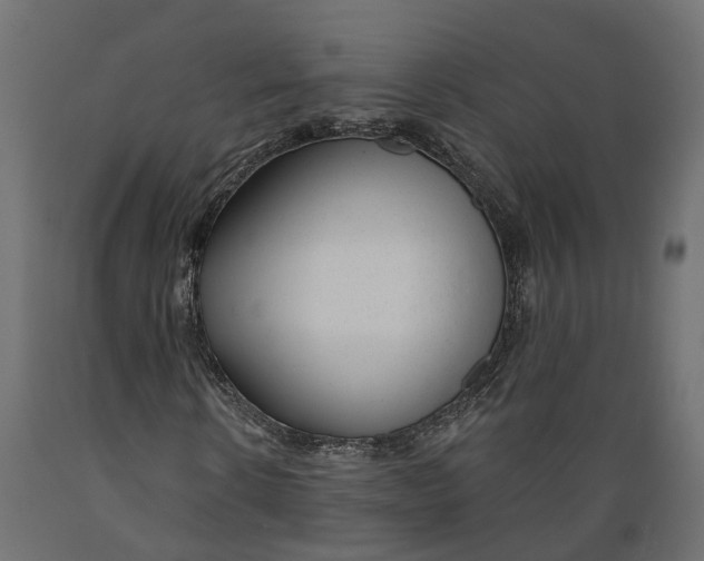 X0000088900914200707061451