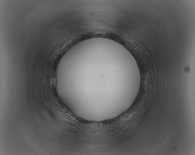 X0000088900916200707061451