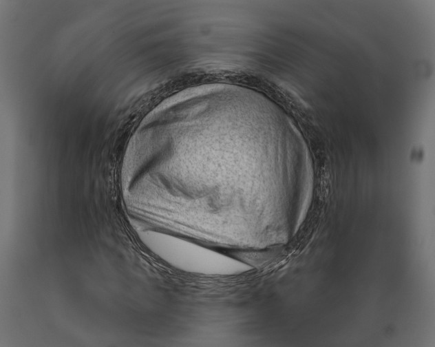 X0000088900917200707061451