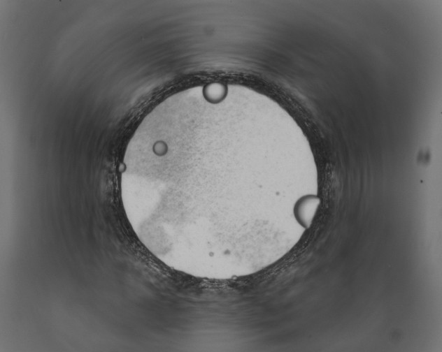 X0000088900918200707061451