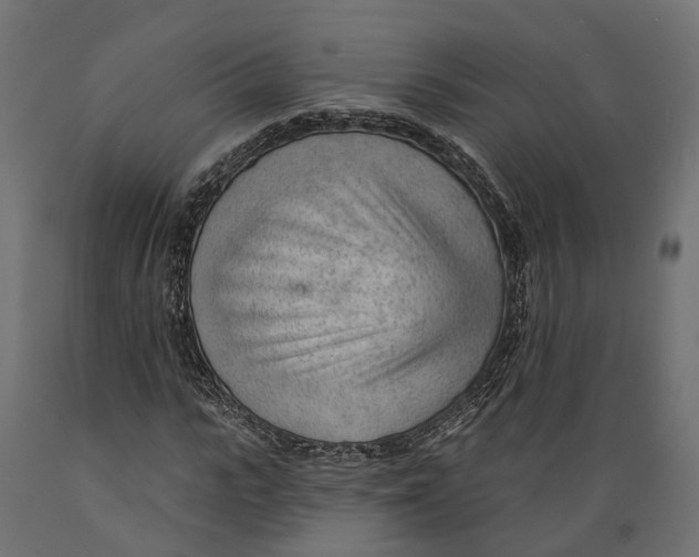 X0000088900919200707061451